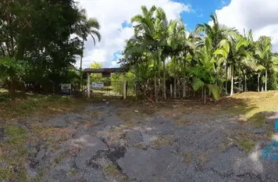 Terreno à venda, 148000 m² por r$ 900.000 - colonia maria luiza - paranaguá/pr