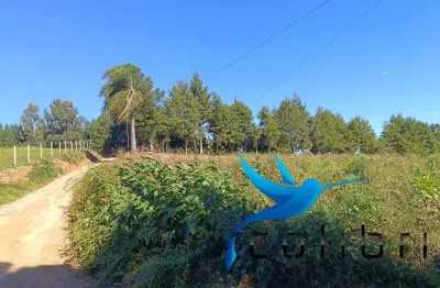 Terreno limpo, plano para formar chácara em agudos do sul