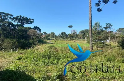 Terreno à venda na Rua Trigolândia, 8500, Trigolândia, Piên