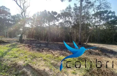 Terreno à venda na Neuri Gonchorovski Negrello, 300, Leão, Agudos do Sul