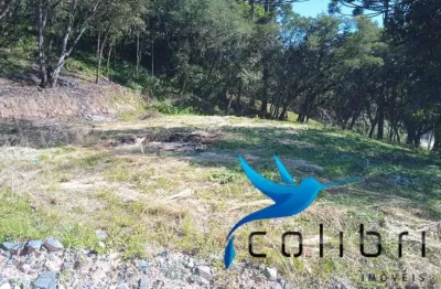 Terreno urbano barato pronto para construir até 03 casas em agudos do sul
