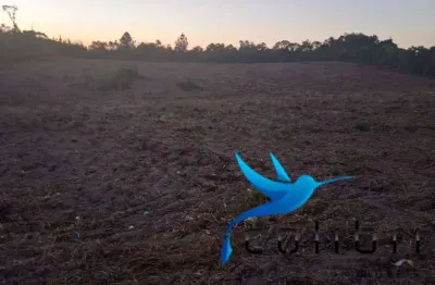 Chácara / sítio à venda na Estrada Principal, 7784, Ribeirãozinho, Agudos do Sul