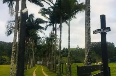 Chácara / sítio à venda na Rua José Francisco Bernardes, Centro, Camboriú