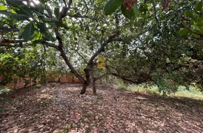 Terreno comercial à venda na rua engenheiro  prefeito alvaro pinto de oliveira, 114, santa rosa, cuiabá por r$ 8.307.600