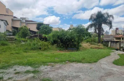 Terreno à venda, 2200 m² por r$ 3.500.000,00 - vila zulmira - são paulo/sp