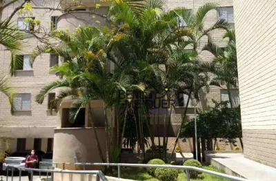 Apartamento com 2 dormitórios à venda, 60 m² por r$ 339.900,00 - pirituba - são paulo/sp