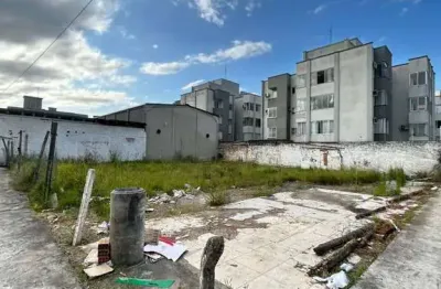 Locação - amplo terreno com 600m² no centro de bc, próximo da br 101