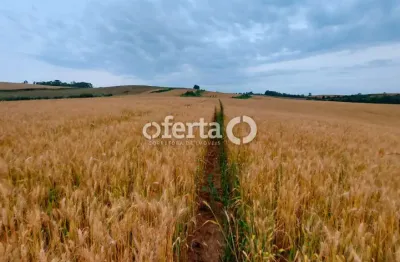 Fazenda à venda no centro, antônio olinto  por r$ 5.300.000