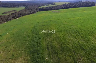 Fazenda à venda no centro, antônio olinto  por r$ 3.000.000
