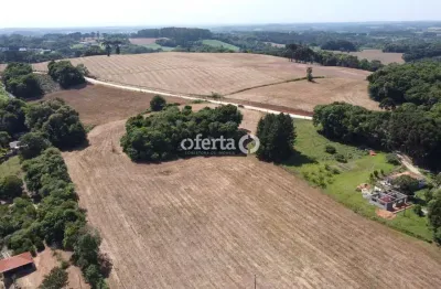 Terreno à venda em Taquarova, Araucária 