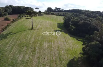 Chácara / sítio à venda no guajuvira, araucária  por r$ 880.000