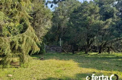 Chácara / sítio à venda no guajuvira, araucária  por r$ 990.000