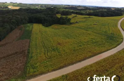 Chácara / sítio à venda no lagoa suja, araucária , 24200 m2 por r$ 650.000