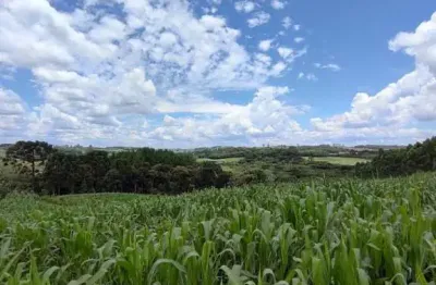Chácara / sítio à venda em mato do chiqueiro, balsa nova  por r$ 290.000