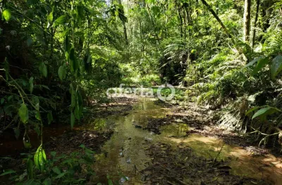 Chácara / sítio à venda no lagoa suja, araucária  por r$ 650.000