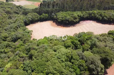 Chácara / sítio à venda no rio verde de cima, araucária  por r$ 600.000