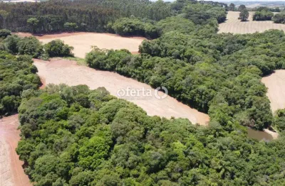 Chácara / sítio à venda no rio verde de cima, araucária  por r$ 600.000