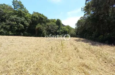 Chácara / sítio à venda no rio verde de cima, araucária  por r$ 550.000