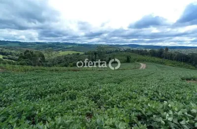 Terreno à venda no mato preto, lapa  por r$ 335.000