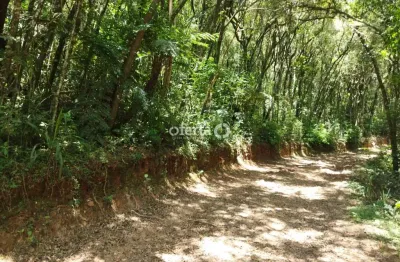 Chácara / sítio à venda no rio verde de cima, araucária  por r$ 550.000