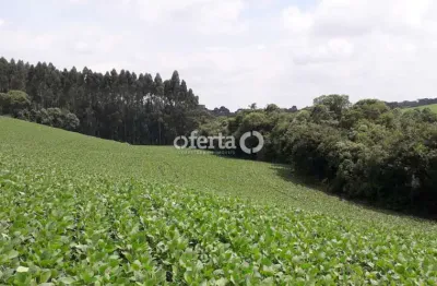 Chácara / sítio à venda em campestre, contenda  por r$ 530.000