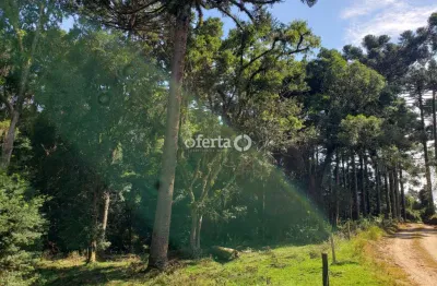 Chácara / sítio à venda em taquarova, araucária  por r$ 600.000
