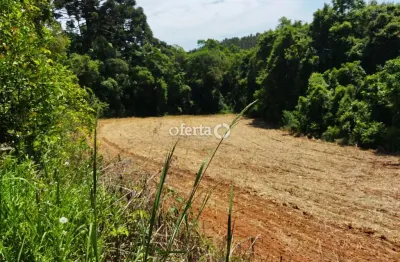 Chácara / sítio à venda no rio verde de cima, araucária  por r$ 500.000