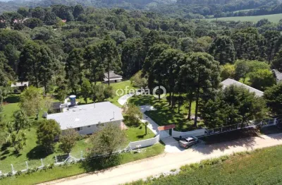 Chácara / sítio com 9 quartos à venda em mato branco, contenda , 690 m2 por r$ 2.900.000