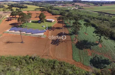 Chácara / sítio com 1 quarto à venda no campo redondo, araucária , 120 m2 por r$ 3.000.000