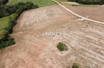 Chácara / sítio à venda no lagoa suja, araucária  por r$ 650.000