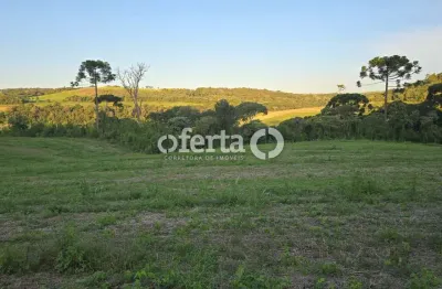 Fazenda à venda no Centro, Lapa 