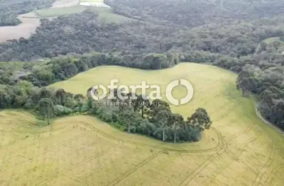 Fazenda à venda no Centro, Lapa 