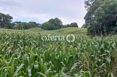 Chácara / sítio à venda na zona rural, araucária  por r$ 595.000