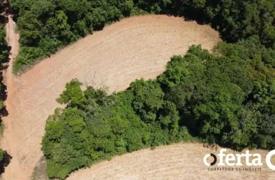Chácara / sítio à venda no rio verde de cima, araucária  por r$ 500.000