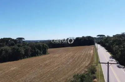 Terreno à venda no centro, araucária  por r$ 1.850.000