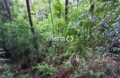 Chácara / sítio à venda no mariental, lapa  por r$ 250.000