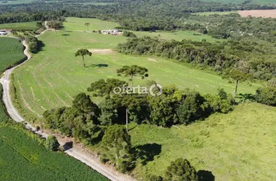 Fazenda à venda no faxinal dos castilhos, lapa , 250 m2 por r$ 4.500.000
