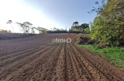 Chácara / sítio à venda em mato branco, contenda  por r$ 350.000