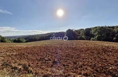 Chácara / sítio à venda em colônia cristina, araucária  por r$ 600.000