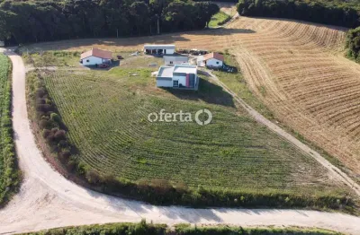 Chácara / sítio com 4 quartos à venda em formigueiro, araucária  por r$ 1.300.000