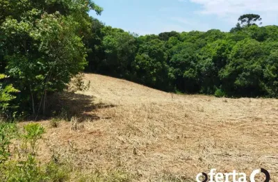 Chácara / sítio à venda no rio verde de cima, araucária  por r$ 500.000