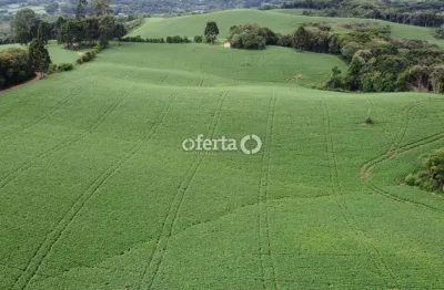 Fazenda à venda no bugre, balsa nova , 100 m2 por r$ 13.000.000