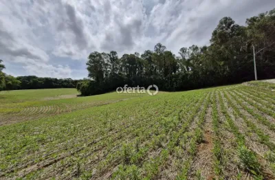 Chácara / sítio à venda na campina das palmeiras, araucária  por r$ 1.300.000