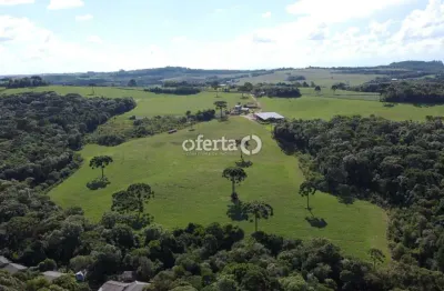 Fazenda à venda no faxinal dos castilhos, lapa , 250 m2 por r$ 4.500.000