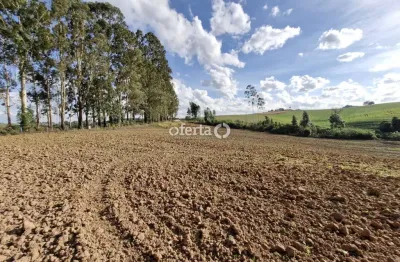 Chácara / sítio à venda na zona rural, contenda , 21917 m2 por r$ 399.000