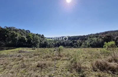 Chácara / sítio à venda no rio verde de cima, araucária  por r$ 530.000
