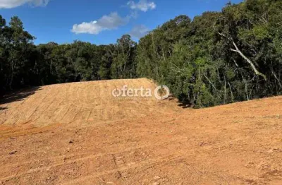Chácara / sítio à venda no rio verde de cima, araucária  por r$ 350.000