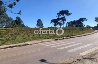 Terreno comercial à venda no costeira, araucária  por r$ 12.000.000