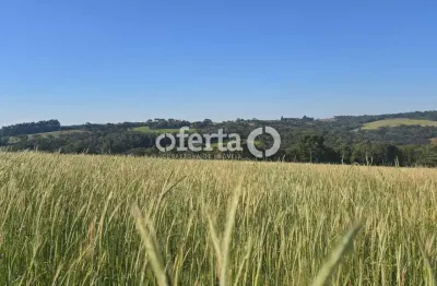 Fazenda à venda no mato preto, lapa  por r$ 2.000.000