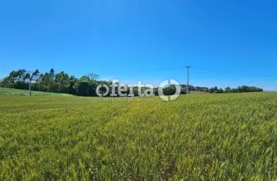 Chácara / sítio à venda em campina das pedras, araucária  por r$ 1.000.000